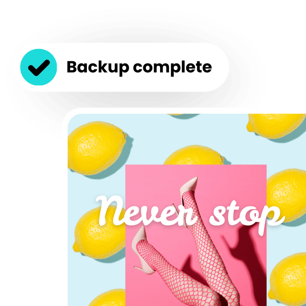 Website Backup